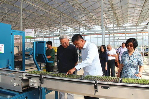 草業(yè)界院士專家齊聚大青山腳下百草園，共探資源再生利用技術(shù)研發(fā)新路徑